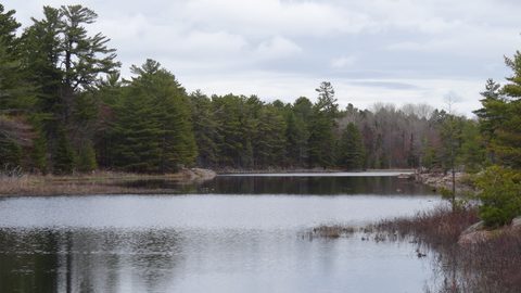 Photo from Killarney Cleanup