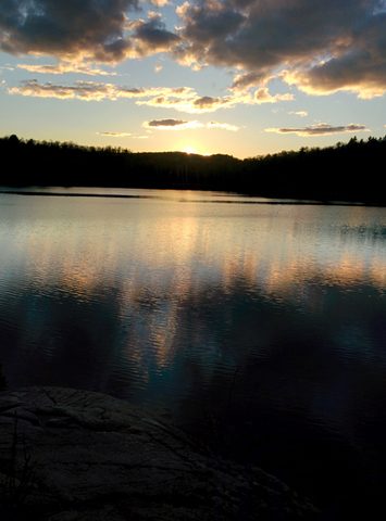 Photo from Killarney Cleanup