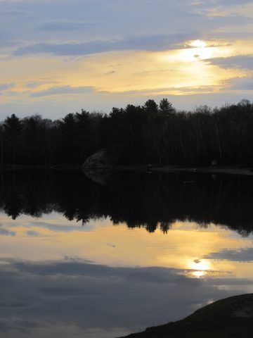 Photo from Killarney Cleanup