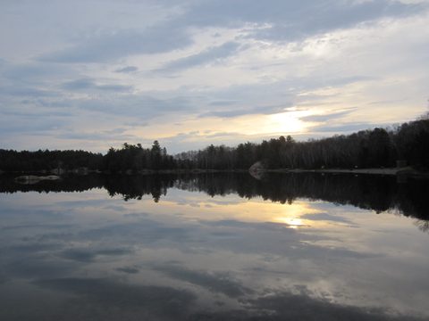 Photo from Killarney Cleanup
