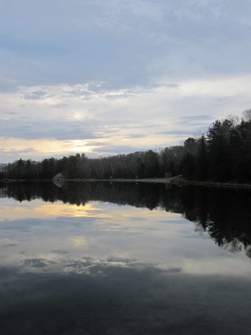 Photo from Killarney Cleanup
