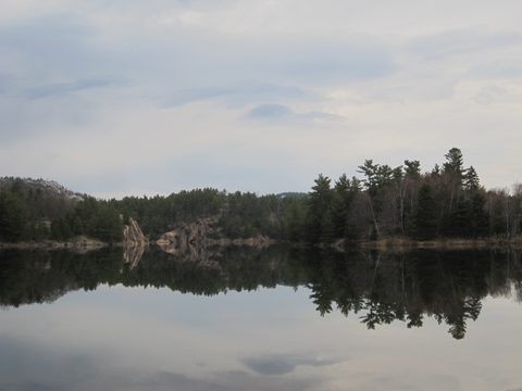 Photo from Killarney Cleanup
