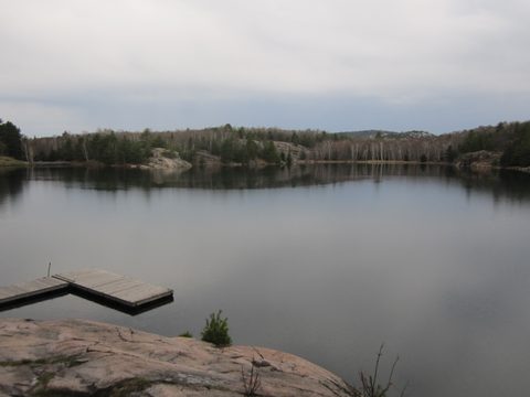 Photo from Killarney Cleanup