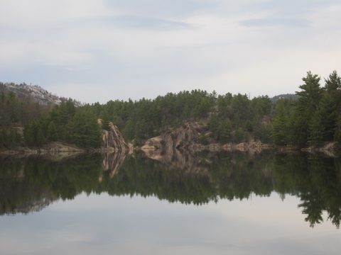 Photo from Killarney Cleanup
