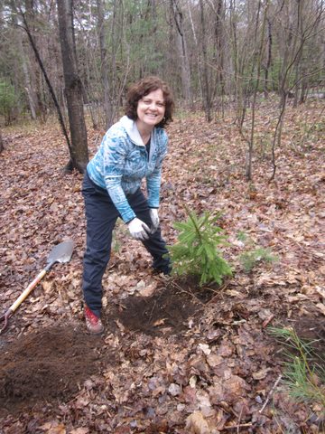 Photo from Killarney Cleanup