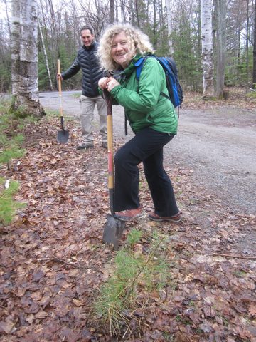 Photo from Killarney Cleanup