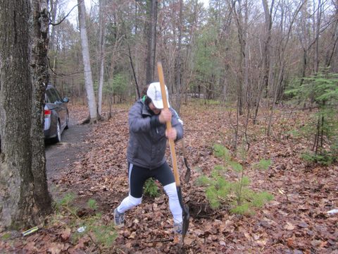 Photo from Killarney Cleanup