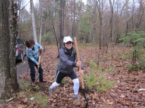 Photo from Killarney Cleanup
