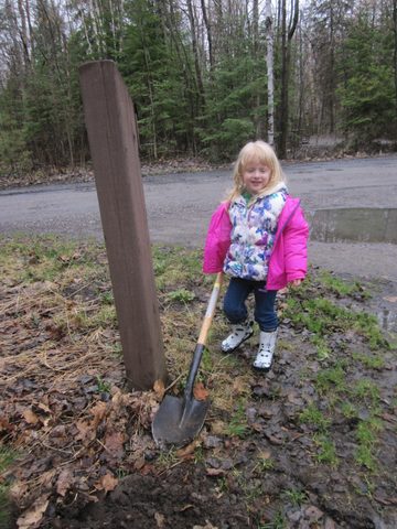 Photo from Killarney Cleanup