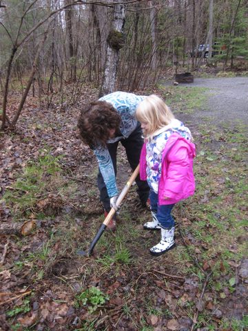 Photo from Killarney Cleanup