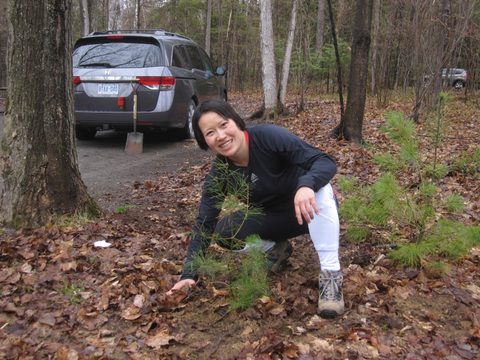 Photo from Killarney Cleanup