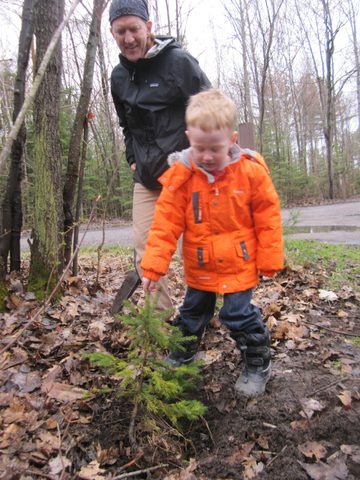 Photo from Killarney Cleanup