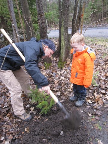 Photo from Killarney Cleanup