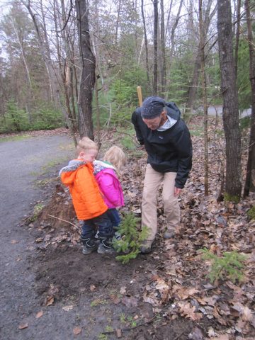 Photo from Killarney Cleanup