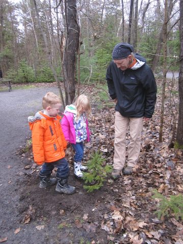 Photo from Killarney Cleanup