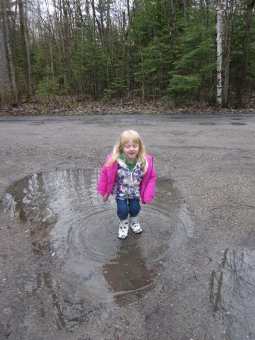 Photo from Killarney Cleanup