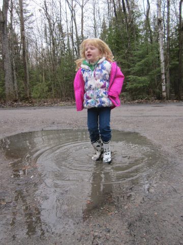 Photo from Killarney Cleanup