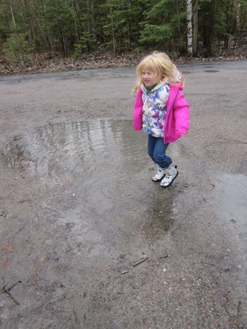 Photo from Killarney Cleanup