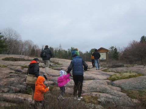 Photo from Killarney Cleanup