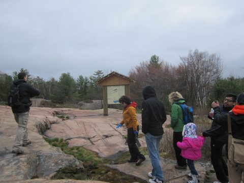 Photo from Killarney Cleanup