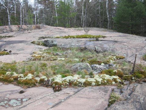Photo from Killarney Cleanup