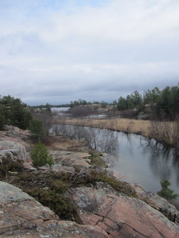 Photo from Killarney Cleanup