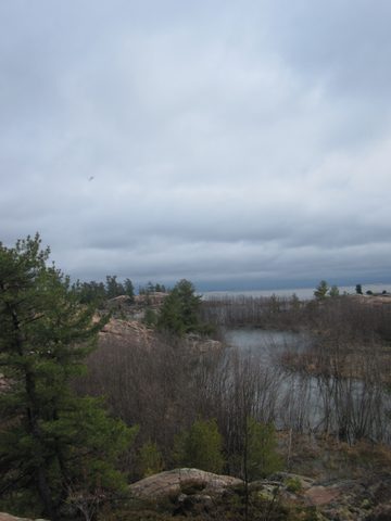 Photo from Killarney Cleanup