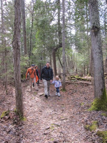 Photo from Killarney Cleanup