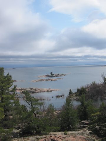 Photo from Killarney Cleanup