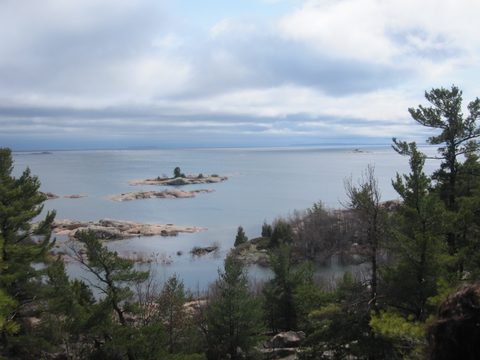 Photo from Killarney Cleanup