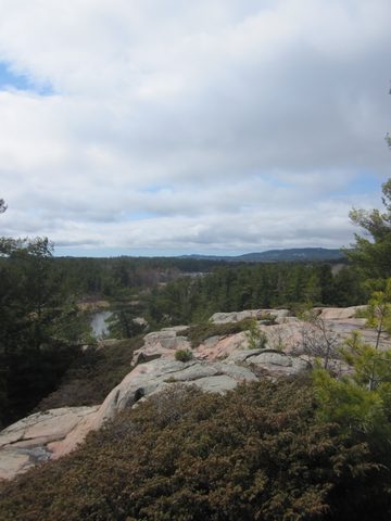 Photo from Killarney Cleanup