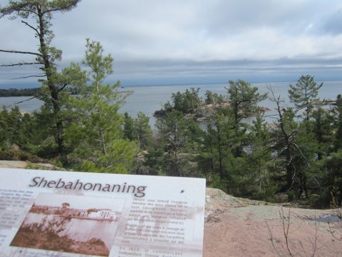 Photo from Killarney Cleanup