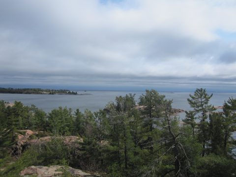 Photo from Killarney Cleanup
