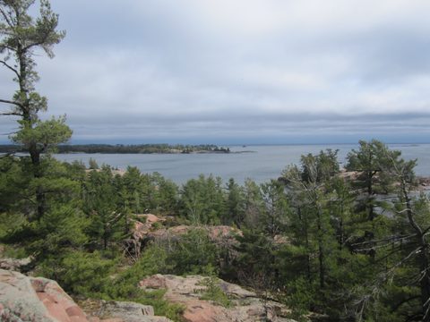 Photo from Killarney Cleanup