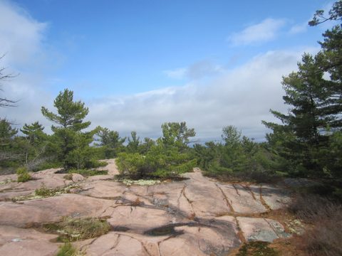 Photo from Killarney Cleanup