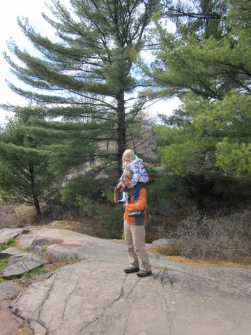 Photo from Killarney Cleanup