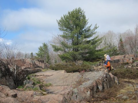 Photo from Killarney Cleanup