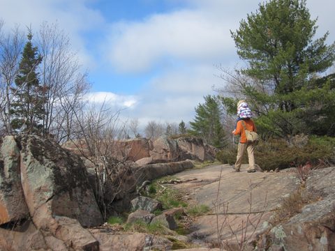 Photo from Killarney Cleanup