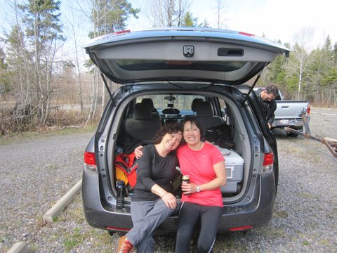 Photo from Killarney Cleanup
