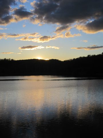 Photo from Killarney Cleanup