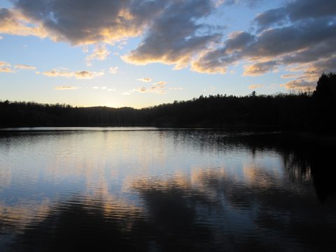 Photo from Killarney Cleanup