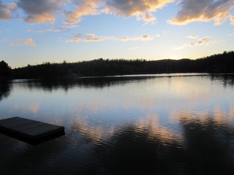 Photo from Killarney Cleanup