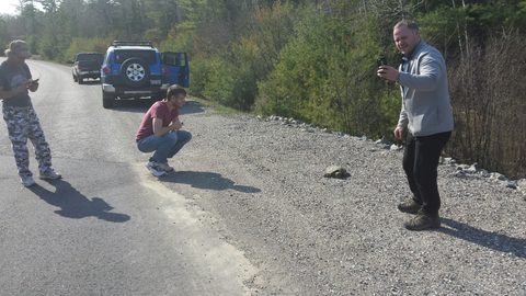 Photo from Killarney Cleanup