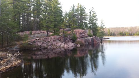 Photo from Killarney Cleanup