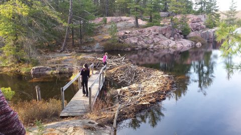 Photo from Killarney Cleanup