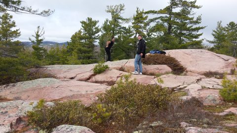 Photo from Killarney Cleanup