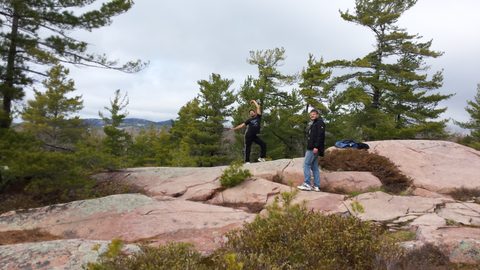 Photo from Killarney Cleanup