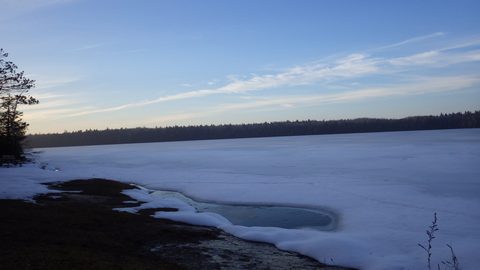Contrast from March 12th