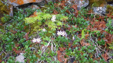Photo from Kayaking/Hiking, Bruce Peninsula National Park