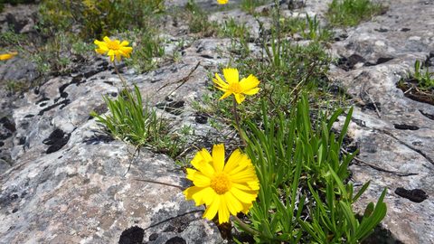 Photo from Kayaking/Hiking, Bruce Peninsula National Park